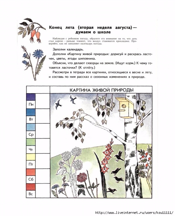 План конспект экологического занятия для дошкольников