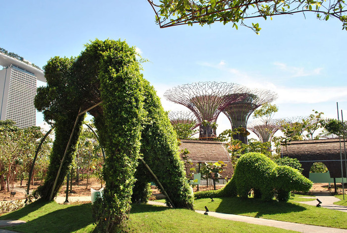 Gardens-By-The-Bay-Singapore_10 (700x470, 193Kb)