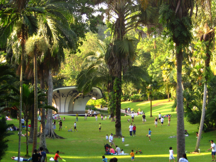 1Singapore_Botanic_Gardens_Palm_Valley (700x525, 326Kb)