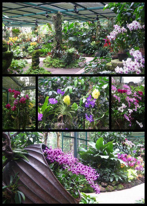 sg-botanical-gardens1 (500x700, 168Kb)