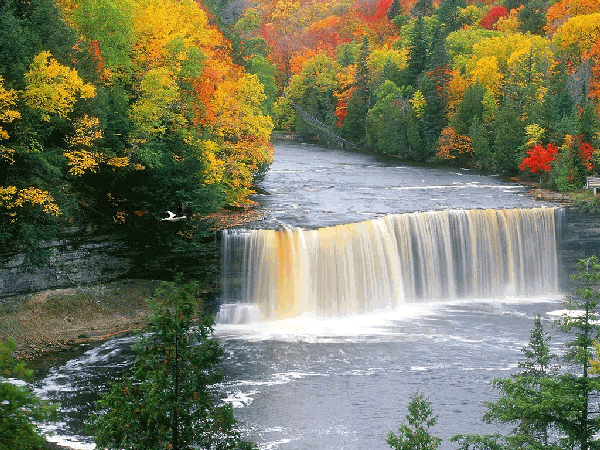 5369078_image (600x450, 1800Kb)