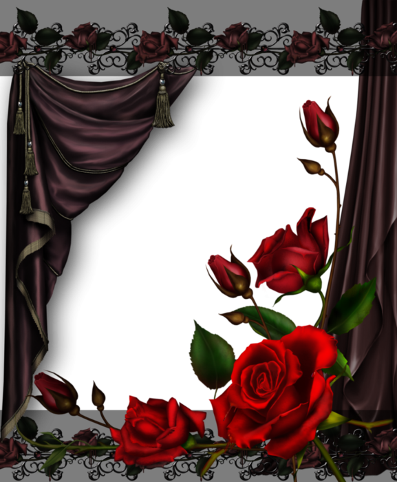 6032303_curtains_and_roses__by_collect_and_creatd82chu0 (577x700, 413Kb)