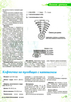  VseSama122015_top-journals.com_Страница_21 (488x700, 291Kb)