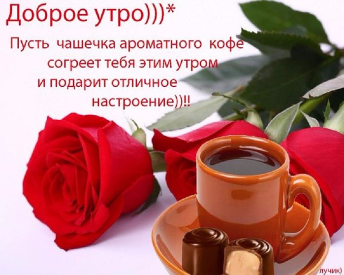 крутое пике скачать торрент все серии Каламбур бар скачать торрент все серии.