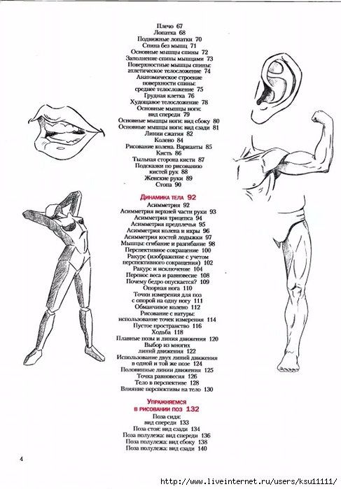 План изучения анатомии для художников