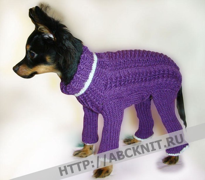 Вязаные изделия для маленьких собак - Димон-Камон, одежда для собак