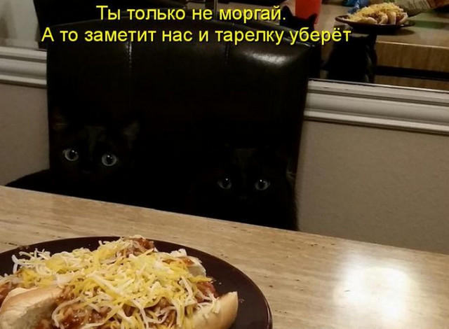 (640x470, 143Kb)