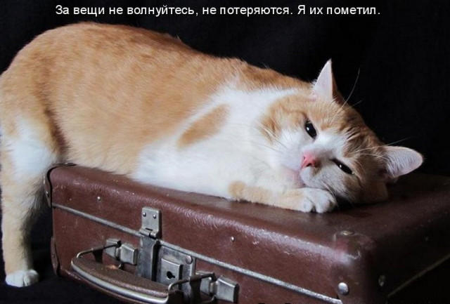 (640x433, 131Kb)