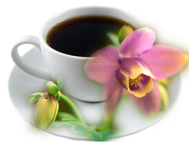чашка кофе и цветы (650x501, 396Kb)