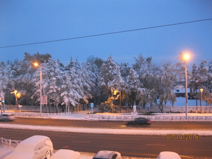 4382601_IMG_4498 (700x525, 271Kb)