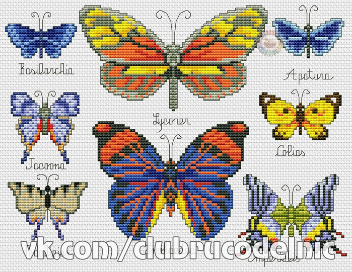 Панель с бабочками (700x541, 530Kb)
