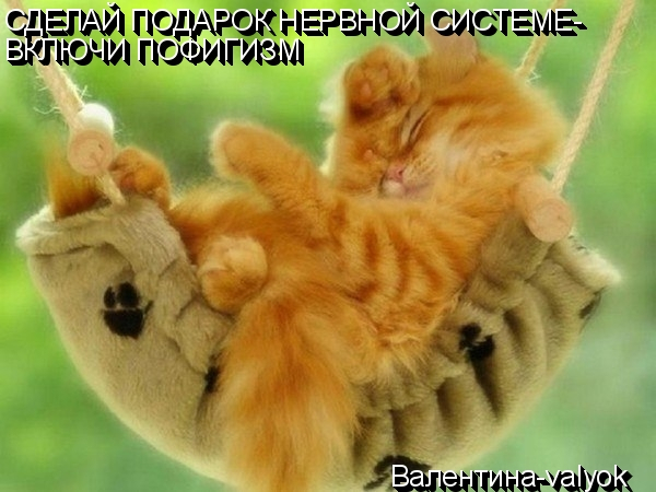 O3E47Ffgfsw Я СДЕЛАЙ ПОДАРОК НЕРВ С