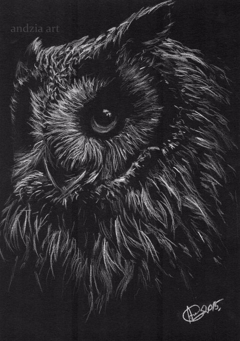 black_owl_by_anna655-d8vpnct (493x700, 239Kb)