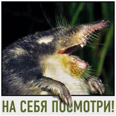 4b713665e6bb (379x379, 111Kb)