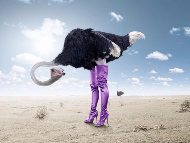 straus_emo (650x487, 216Kb)