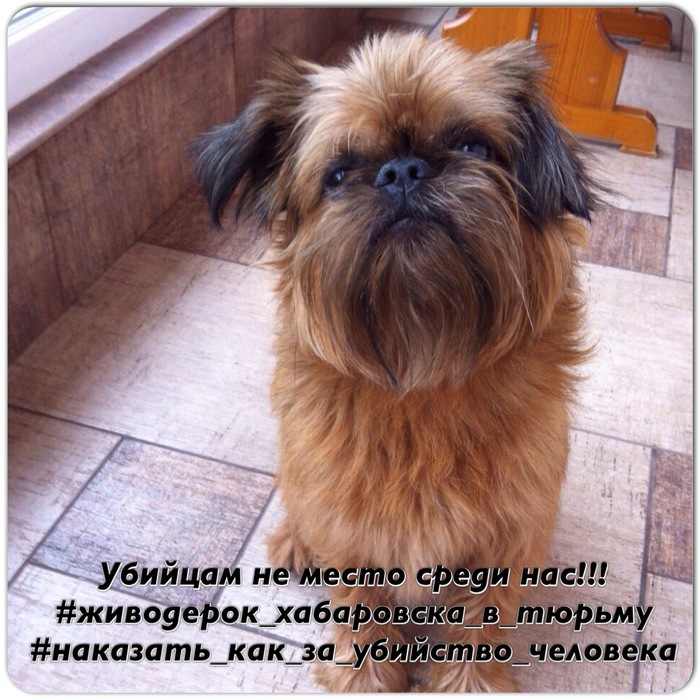 IMG_3472 (700x700, 167Kb)