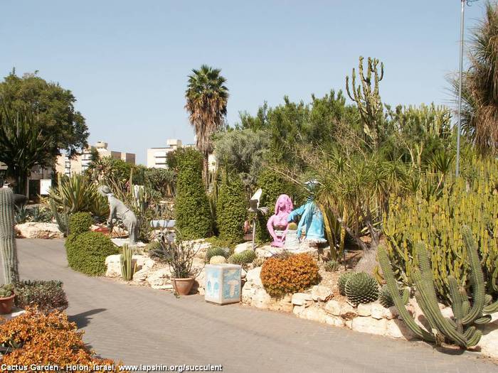 4638534_CactiPark6274HolonIsrael2010 (700x525, 79Kb)