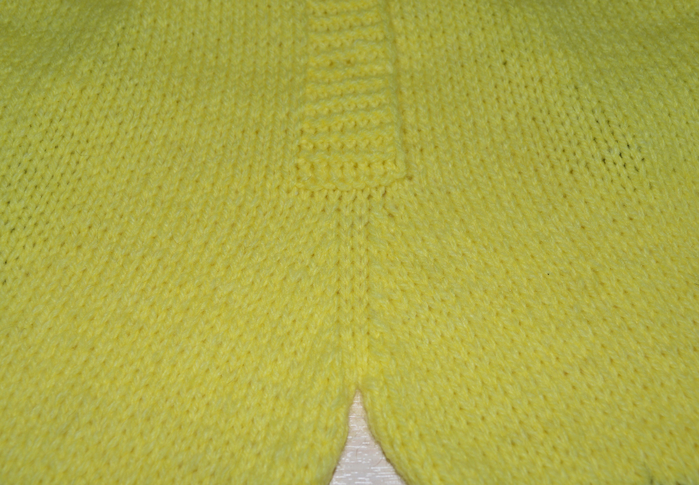 DSC_0329 (700x485, 458Kb)