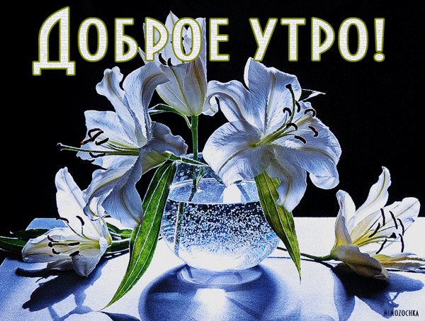 0_fb160_4090bc8e_orig (600x453, 420Kb)