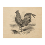 vintage_kulm_fowl_rooster_chicken_chickens_hen_woodsnapwoodcanvas-rcafe917bdc934865aaa1e6e3e39f2c0c_zfolg_324 (324x324, 48Kb)