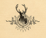  deer-graphicsfairy004b (700x574, 491Kb)