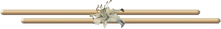 pic (5) (434x58, 4Kb)