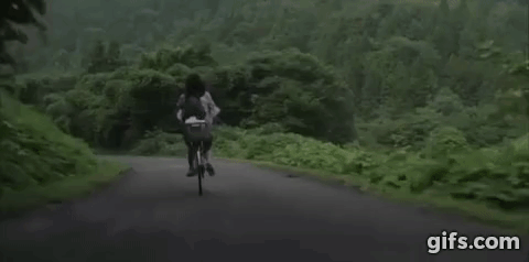 little-forest-cycling-japan (480x238, 6963Kb)