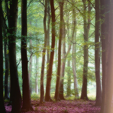 tumblr_mm71pmbFGK1rgunsqo4_250 (160x160, 67Kb)