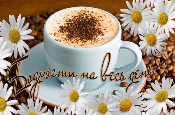     (600x396, 88Kb)