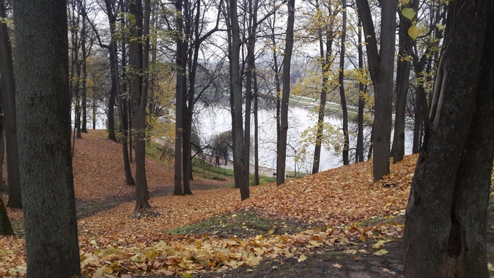 Анна Филатовна гуляла в Парке Царицыно -Деревья усиленно осыпают свою золотую листву, украшая землю, красиво особенно на склонах (698x393, 381Kb)