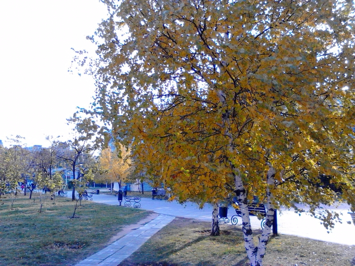 Золотая осень в Волгограде от Павла (700x525, 591Kb)