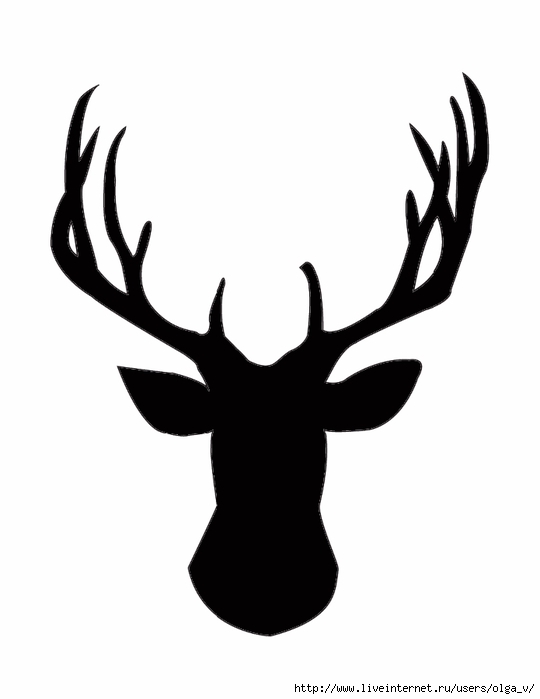 Deer-Head-Silhouette (540x700, 58Kb)