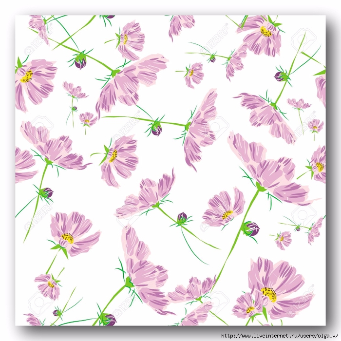 14693347-rose-flower-pattern-cosmos-isolated-on-white-background--Stock-Photo (700x700, 303Kb)