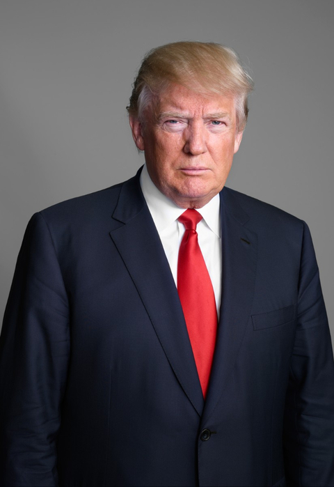 5d71720f.crop4646x6294x0x111-fitcrop824x1200.7179ee.Trump_Donald_TIME_081815_25349_F (480x700, 170Kb)