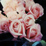 tumblr_mkmw2c77tt1rgunsqo8_250 (160x160, 40Kb)