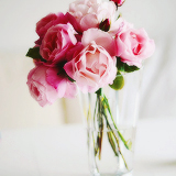 tumblr_mn3vcfcrvm1rgunsqo1_250 (160x160, 32Kb)