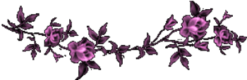 3244 (350x114, 32Kb)