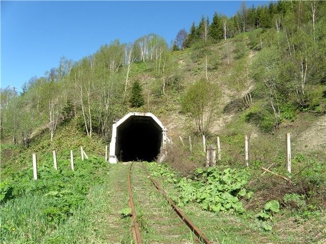 1 (640x480, 104Kb)