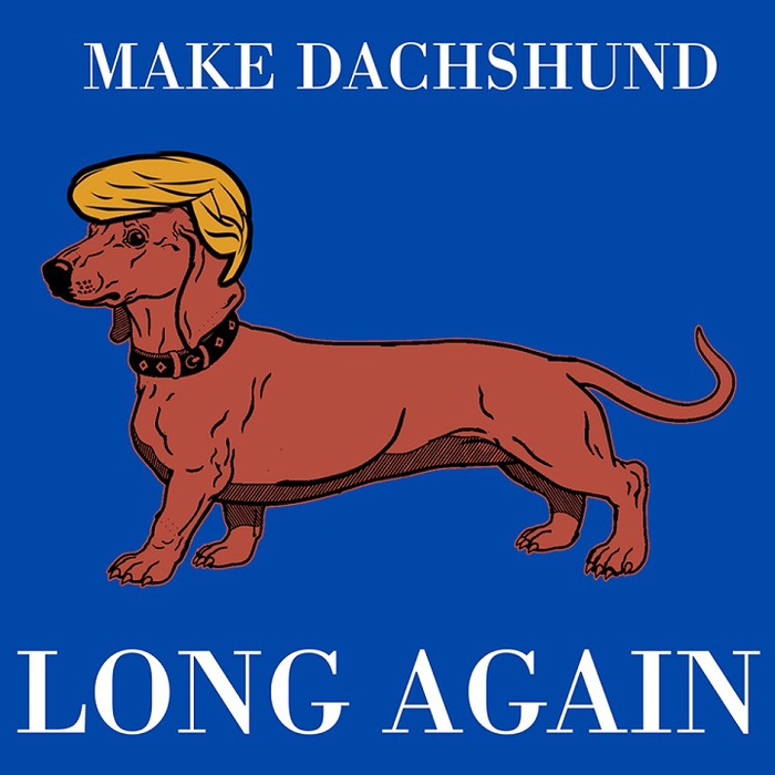 _Make dachshund long again (700x700, 98Kb)