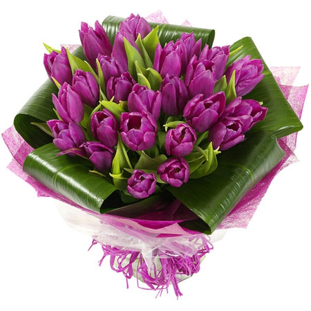 tulips17 (450x450, 123Kb)
