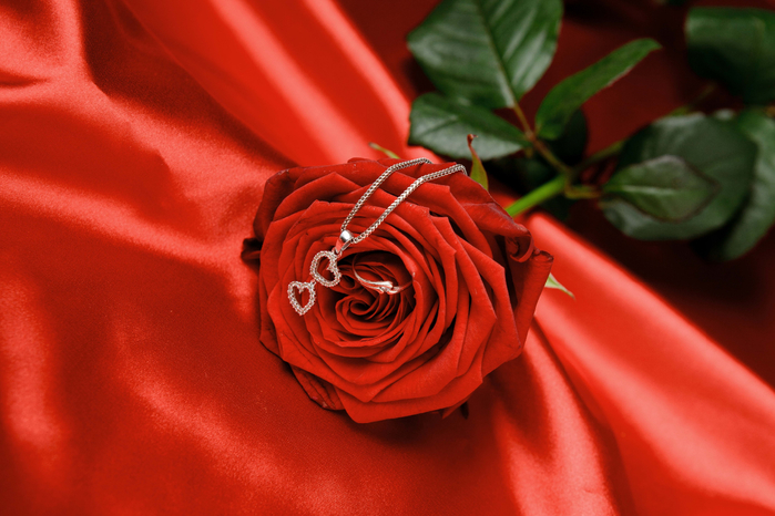 розы и любовь 2 (700x466, 366Kb)