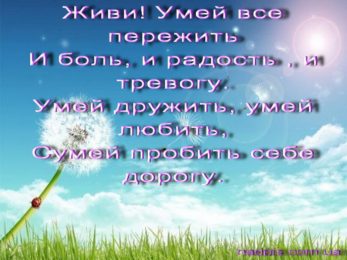 httpnadpis.com_.uapozdravlenie-s-dnyom-rozhdeniya1-1024x768 (700x525, 110Kb)