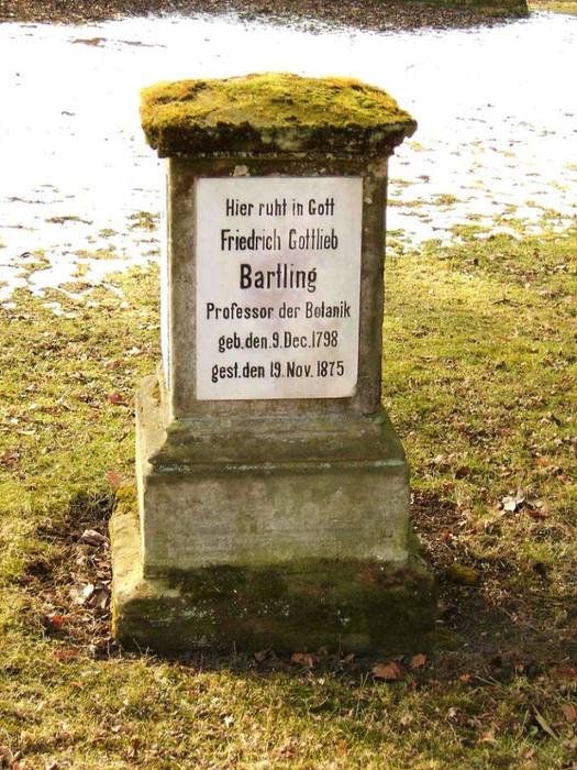 Göttingen-Grave.of.Friedrich.Gottlieb.Bartling.01 (525x700, 471Kb)
