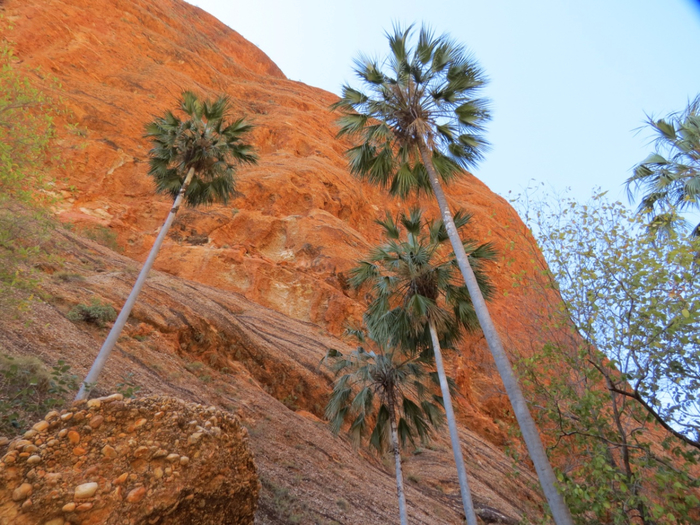 Bungle_Bungle_National_Park_13 (700x525, 500Kb)