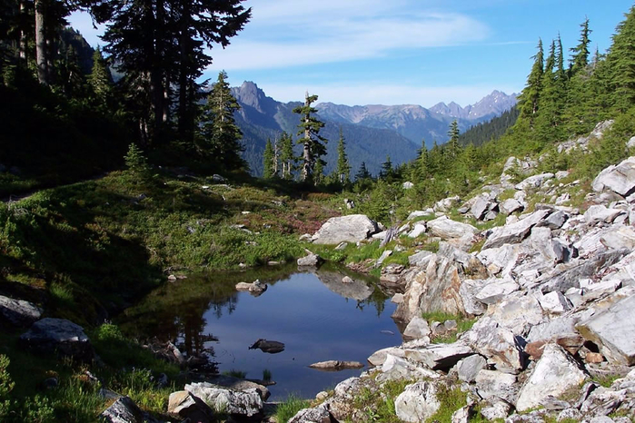 Olympic_National_Park_21 (700x466, 422Kb)