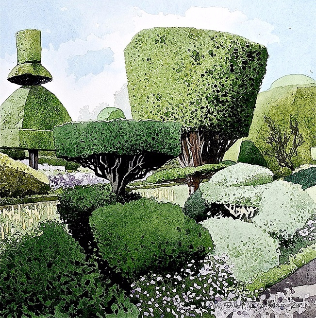 Levens-Hall-Topiary-6-copy (651x654, 798Kb)