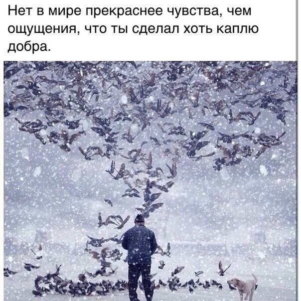 6120462_qiOv (604x604, 245Kb)