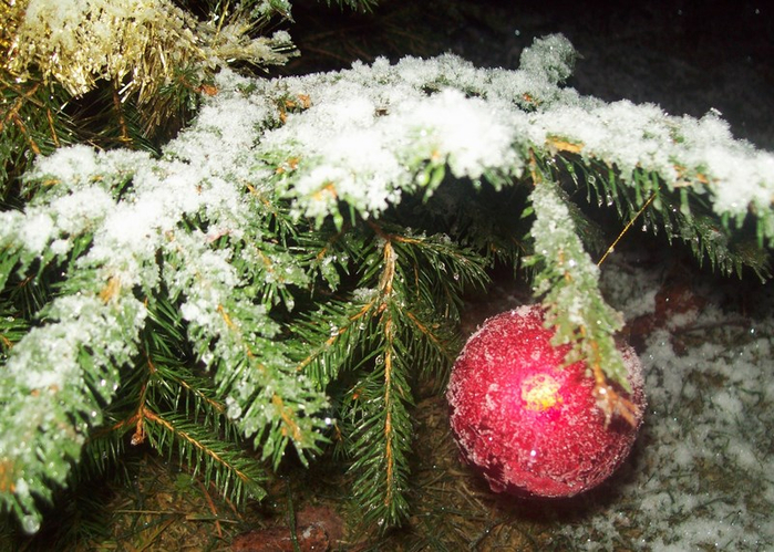 100_5878 (700x499, 457Kb)