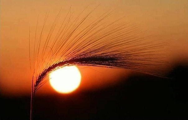image-8 (604x387, 33Kb)