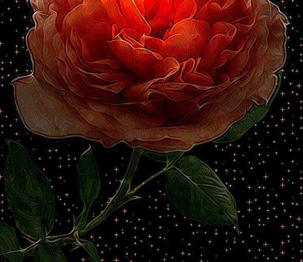 411a32e862c5afebf65c772201db353e1 (590x510, 1255Kb)
